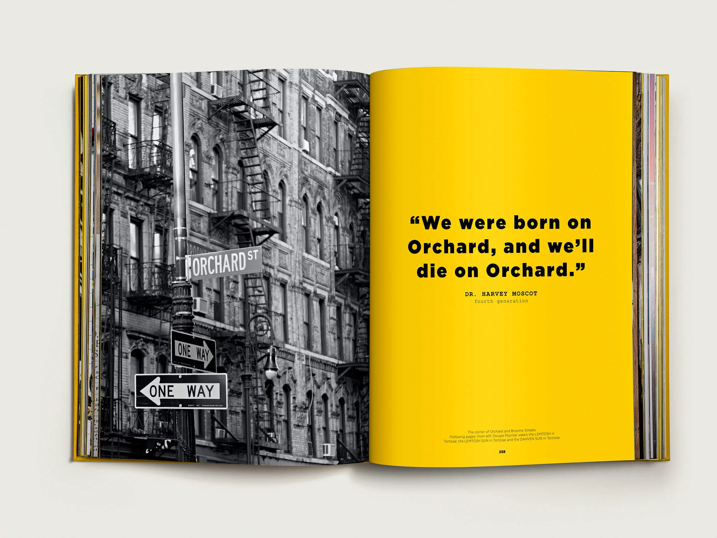 COFFEE TABLE BOOK - Image 6