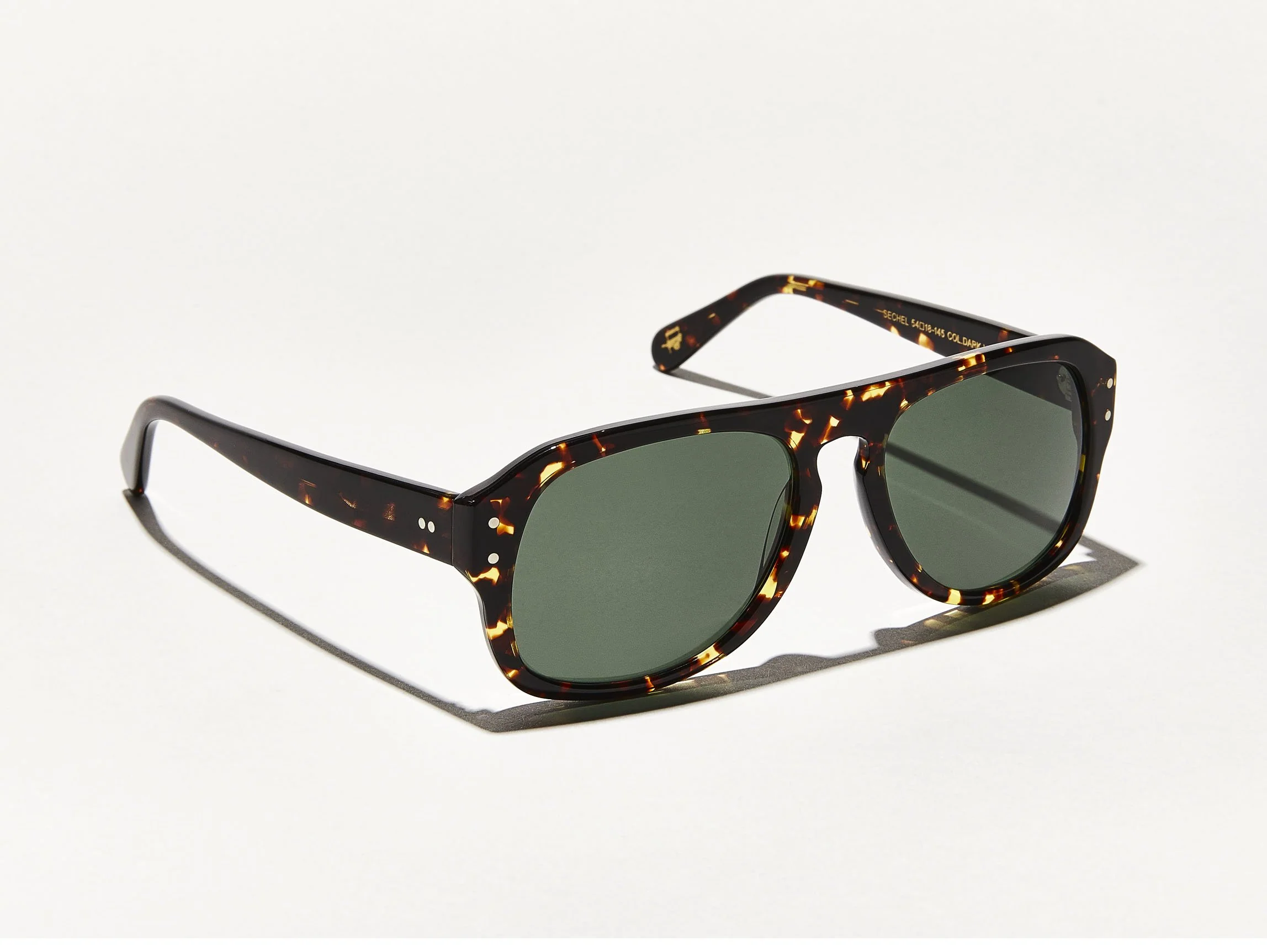 SECHEL SUN - Image 6